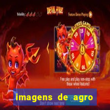 imagens de agro racoes guarani