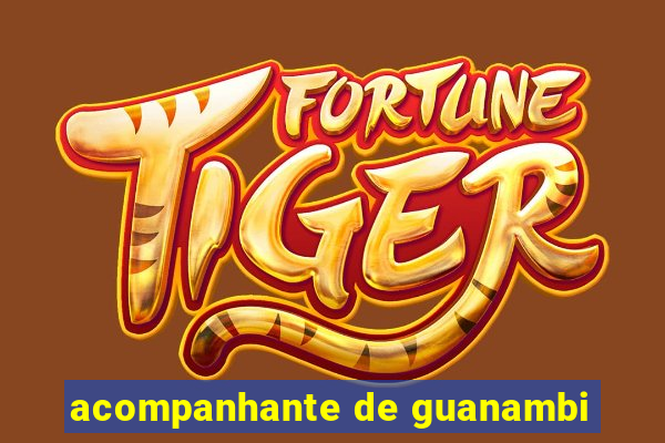 acompanhante de guanambi