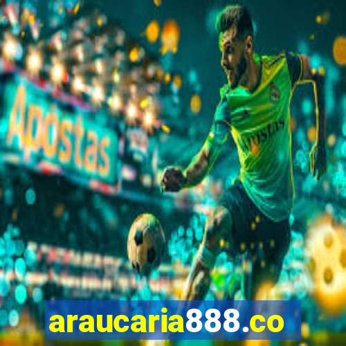 araucaria888.com