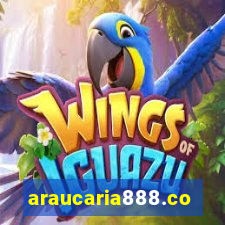 araucaria888.com