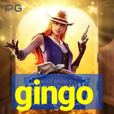 gingo