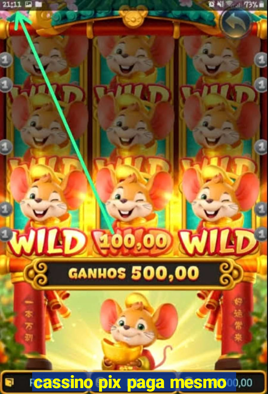 cassino pix paga mesmo