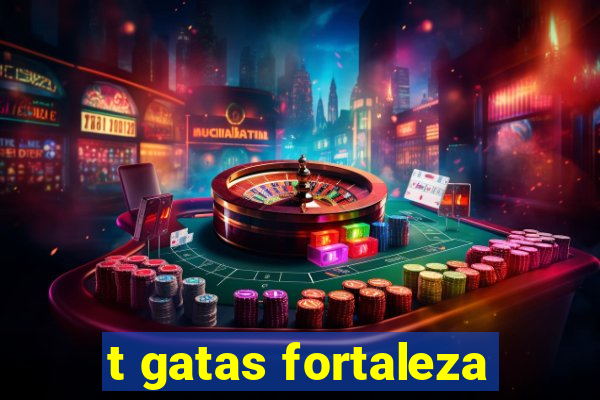 t gatas fortaleza