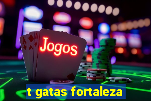 t gatas fortaleza