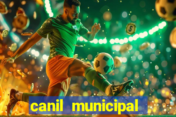 canil municipal porto alegre