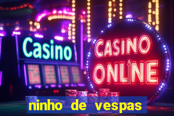 ninho de vespas significado espiritual