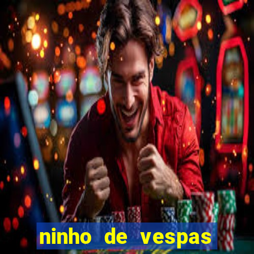 ninho de vespas significado espiritual