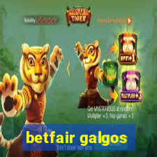 betfair galgos