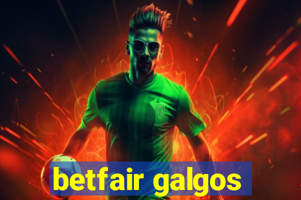 betfair galgos