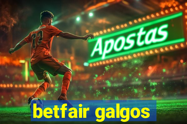 betfair galgos