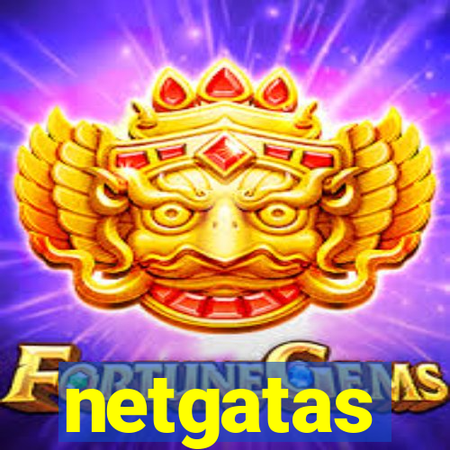 netgatas