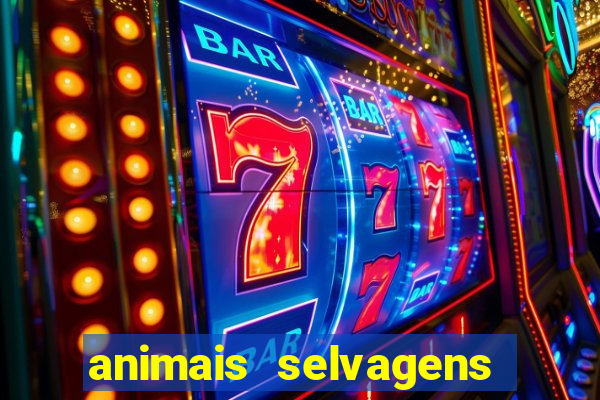 animais selvagens fotos e nomes