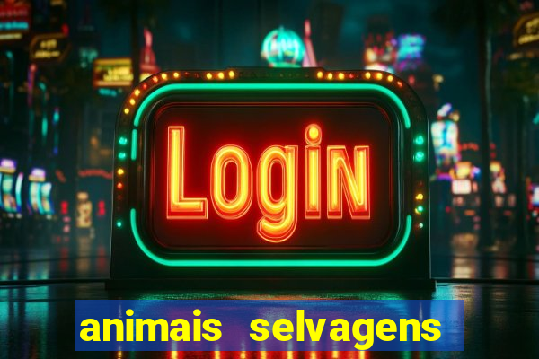 animais selvagens fotos e nomes