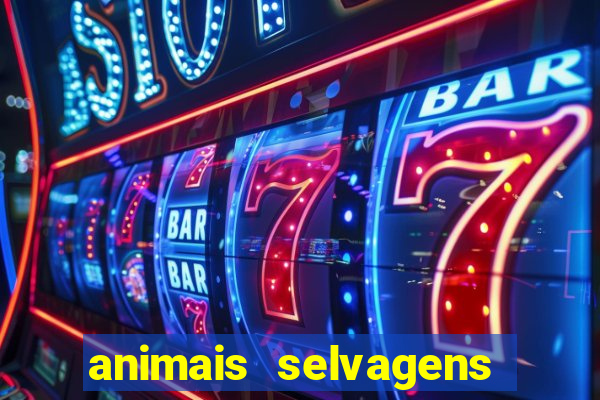 animais selvagens fotos e nomes