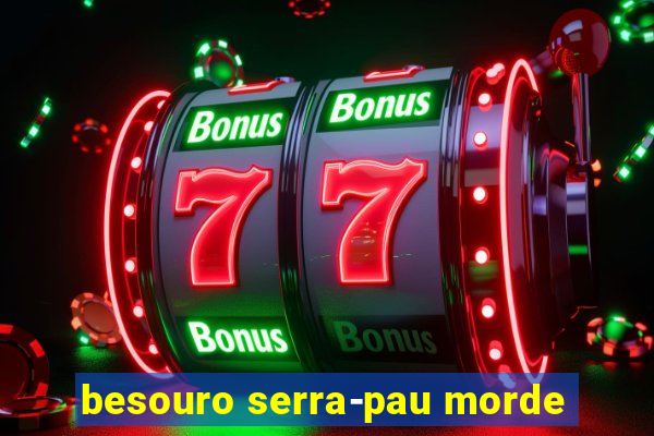 besouro serra-pau morde