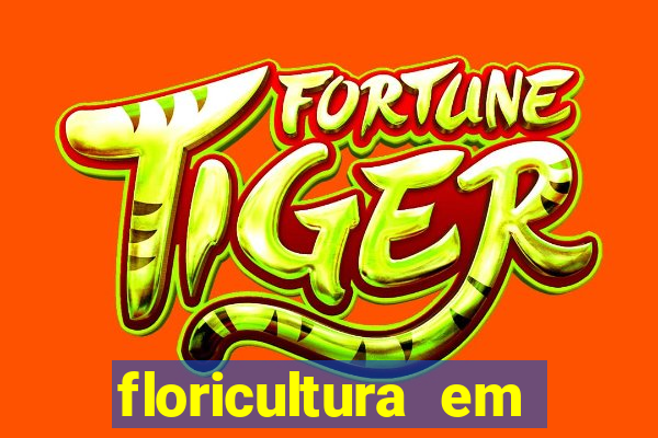 floricultura em franca sp