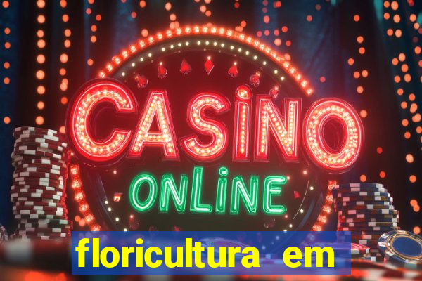 floricultura em franca sp