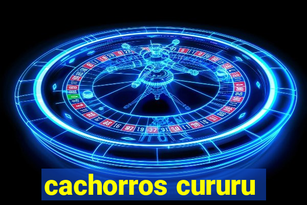 cachorros cururu