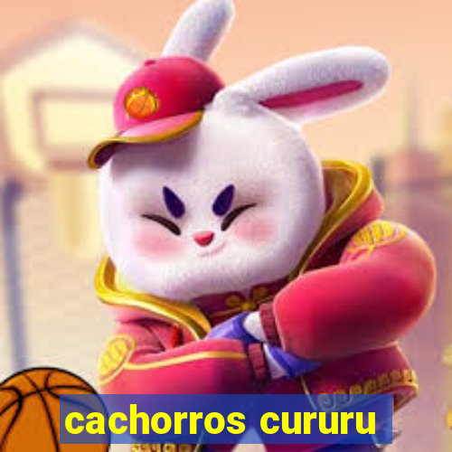cachorros cururu