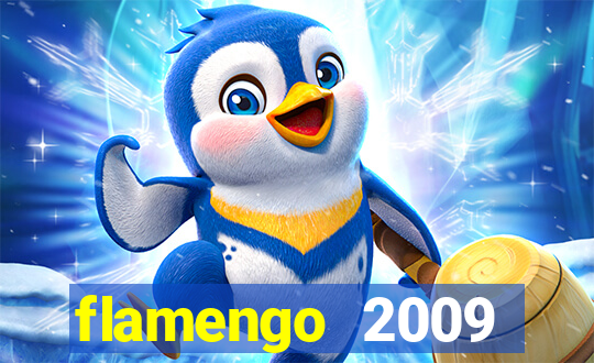 flamengo 2009 campeonato brasileiro