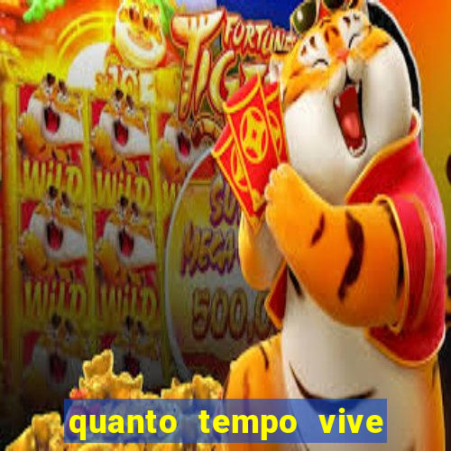 quanto tempo vive um passarinho bem-te-vi