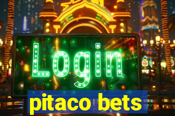 pitaco bets