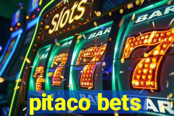 pitaco bets