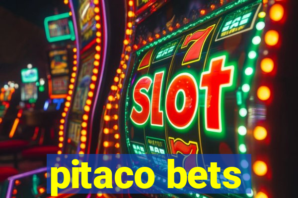 pitaco bets
