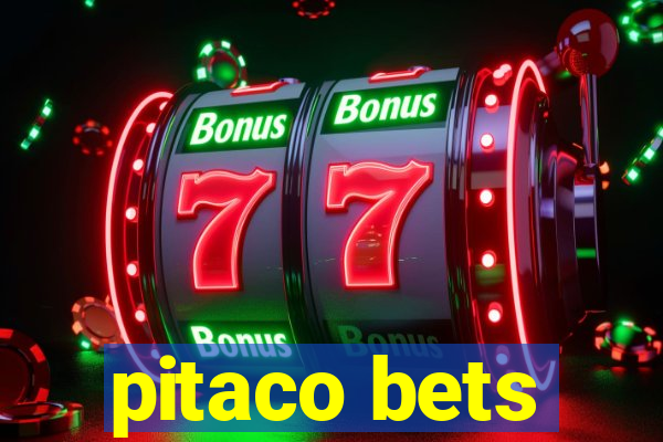 pitaco bets