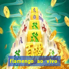 flamengo ao vivo multi canais
