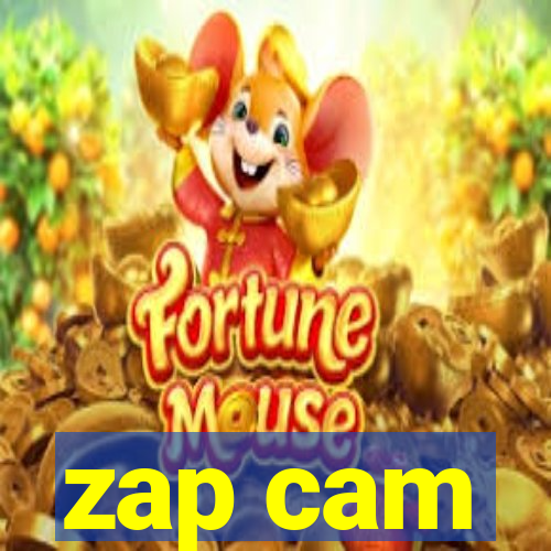 zap cam