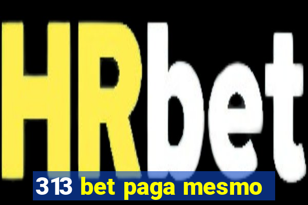 313 bet paga mesmo