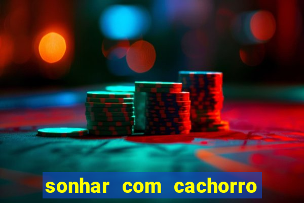 sonhar com cachorro numeros da mega sena