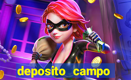 deposito campo grande santos