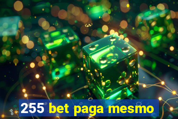 255 bet paga mesmo