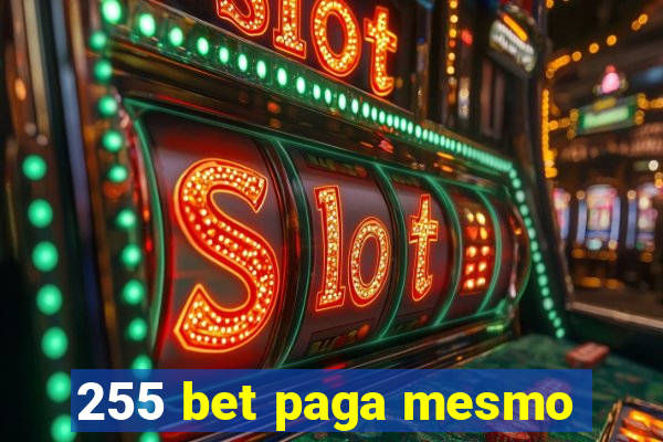255 bet paga mesmo