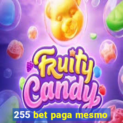 255 bet paga mesmo