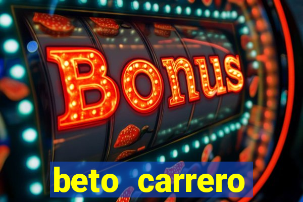 beto carrero cidades proximas