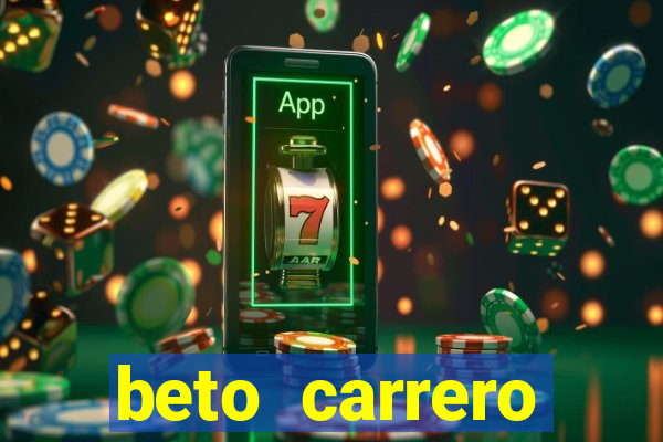beto carrero cidades proximas