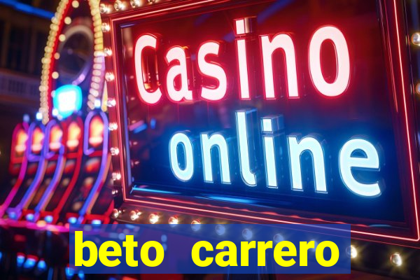 beto carrero cidades proximas