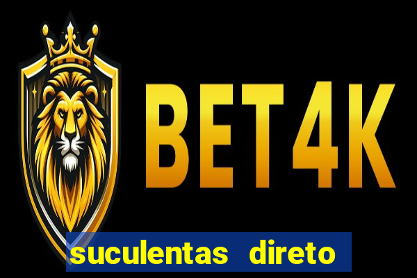 suculentas direto do produtor rs