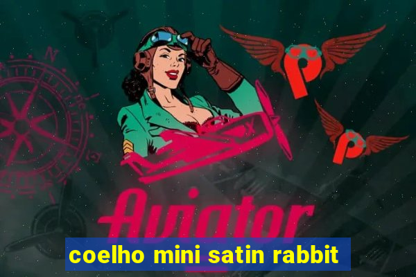 coelho mini satin rabbit