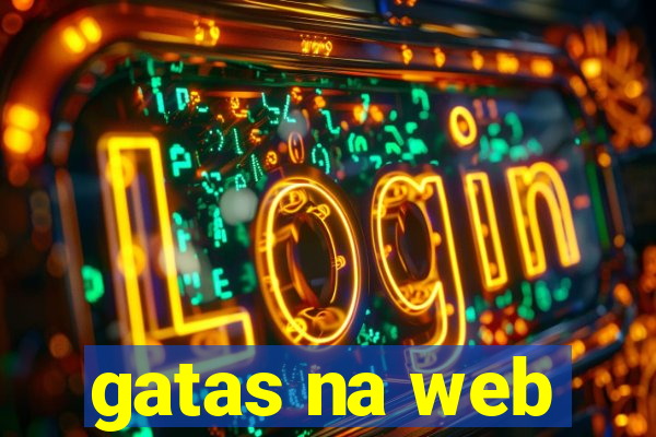 gatas na web