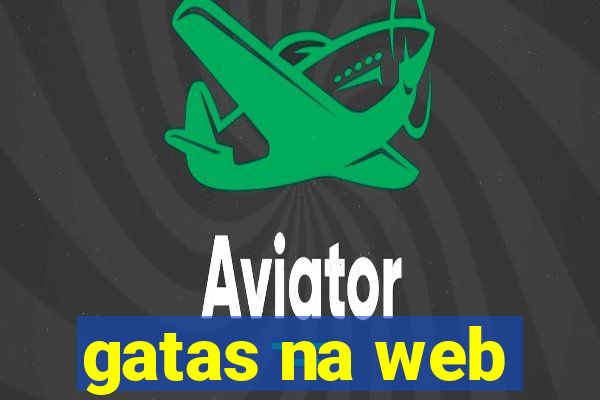 gatas na web