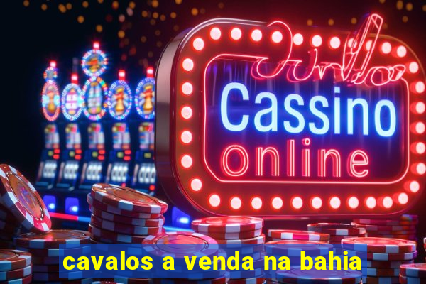 cavalos a venda na bahia