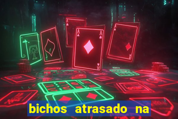 bichos atrasado na loteria dos sonhos