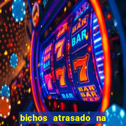 bichos atrasado na loteria dos sonhos