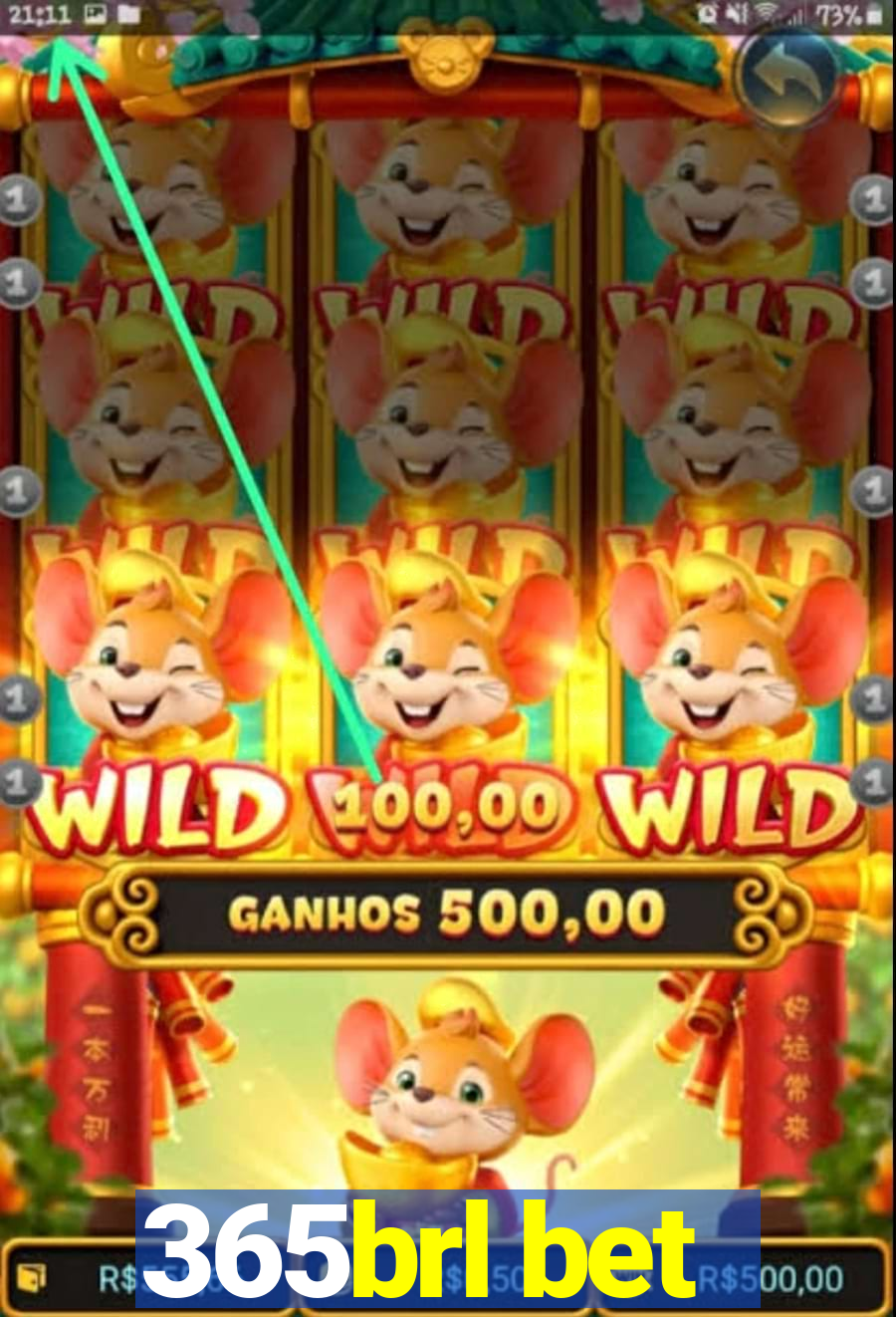 365brl bet
