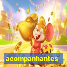 acompanhantes chamadas de video