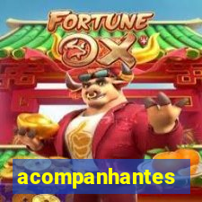 acompanhantes chamadas de video